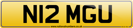 N12 MGU