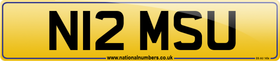 N12 MSU