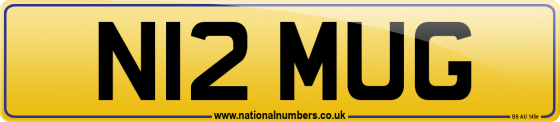 N12 MUG