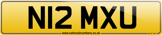 N12 MXU