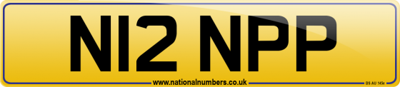 N12 NPP
