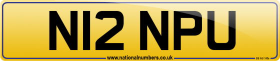 N12 NPU