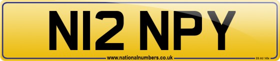 N12 NPY