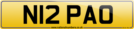 N12 PAO
