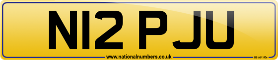 N12 PJU
