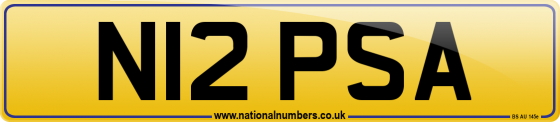 N12 PSA