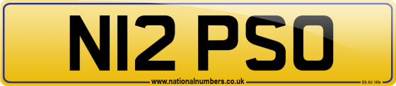 N12 PSO