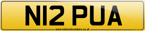 N12 PUA