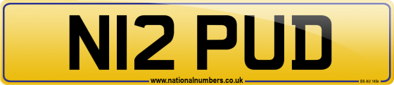 N12 PUD
