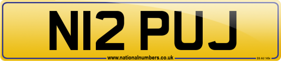 N12 PUJ