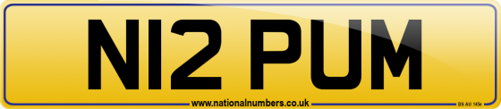 N12 PUM
