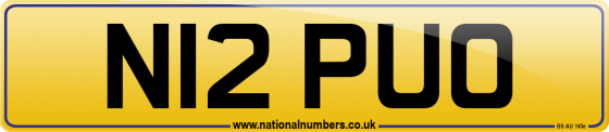 N12 PUO