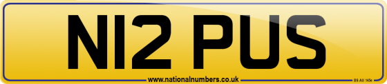 N12 PUS