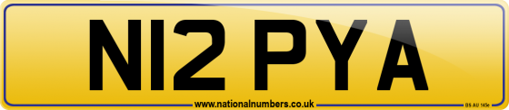N12 PYA