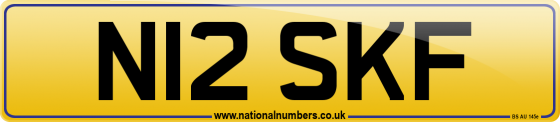 N12 SKF
