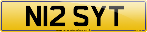 N12 SYT