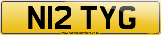 N12 TYG