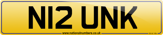 N12 UNK