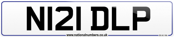 N121 DLP