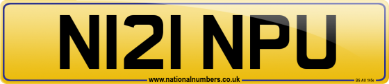 N121 NPU