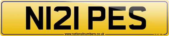 N121 PES