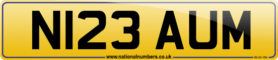 N123 AUM