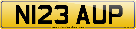 N123 AUP