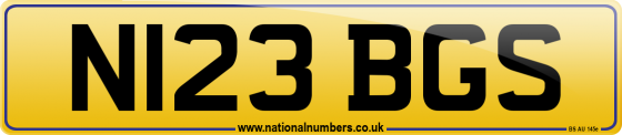 N123 BGS
