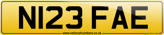 N123 FAE