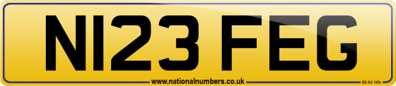 N123 FEG