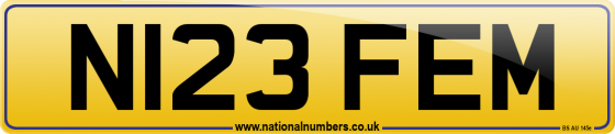 N123 FEM