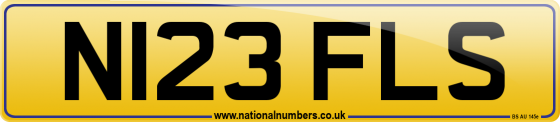 N123 FLS