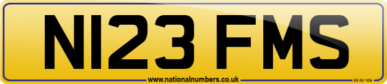 N123 FMS
