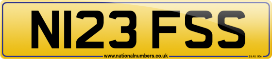 N123 FSS