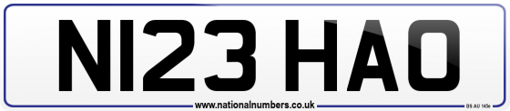 N123 HAO