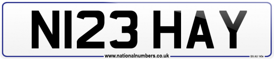 N123 HAY