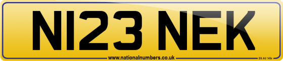 N123 NEK