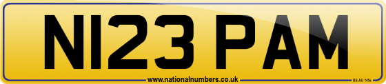 N123 PAM