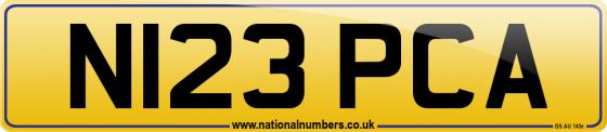 N123 PCA