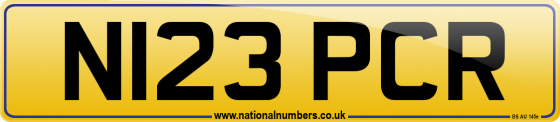 N123 PCR