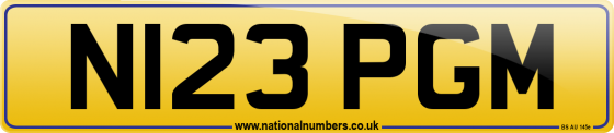 N123 PGM