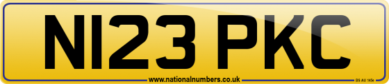 N123 PKC