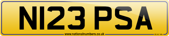 N123 PSA