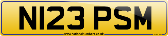 N123 PSM