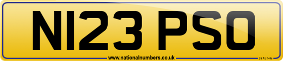 N123 PSO