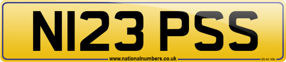 N123 PSS