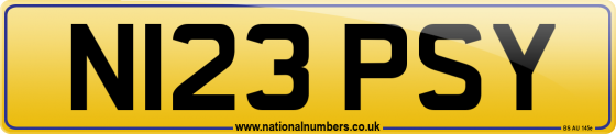N123 PSY