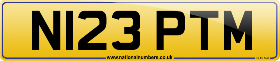 N123 PTM