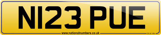 N123 PUE