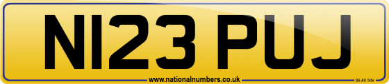 N123 PUJ